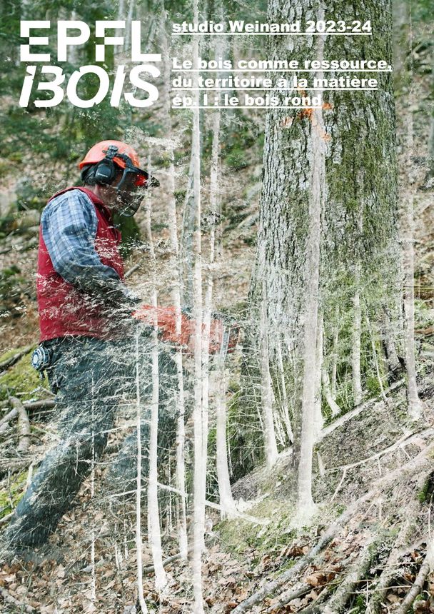 Wood as a resource