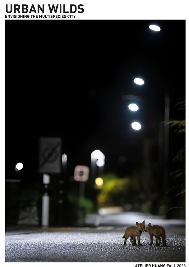 Urban Wilds